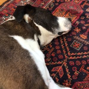 Meet your Posher, Taryn